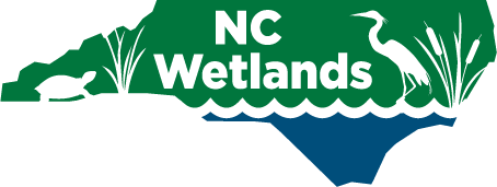 North Carolina Wetlands