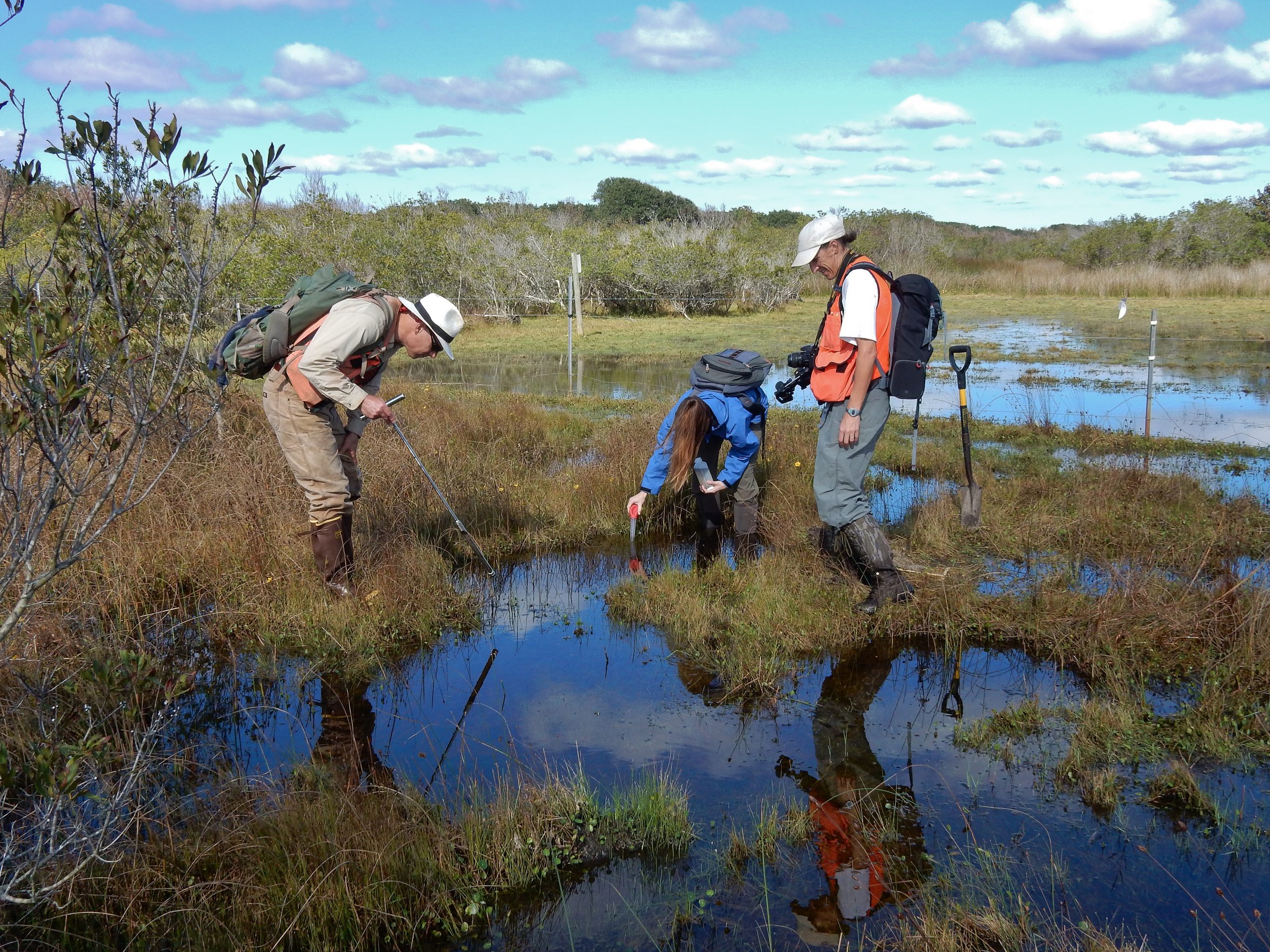 people scientist studying freshwater wetland Currituck NWR ncwetlands KG (16)