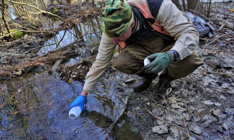 Assessing Water Quality in Natural Urban Wetlands