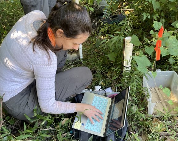 Water level sensors are deployed in the intensive study wetlands