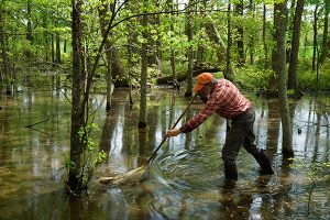 Scientists use dipnets to learn what species are present