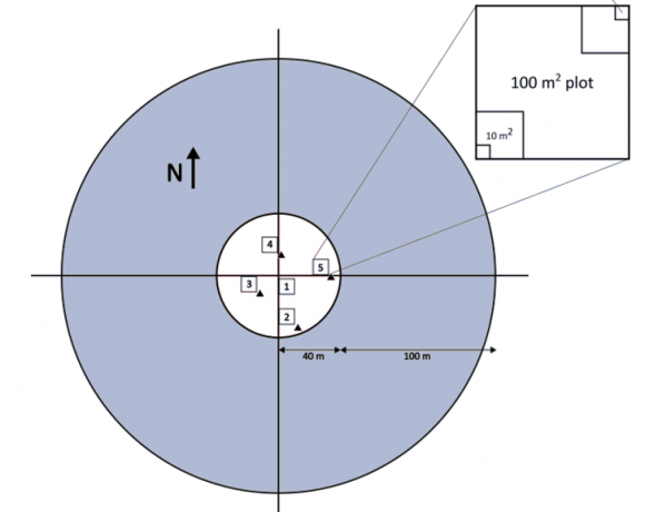 NWCA protocol sampling layout