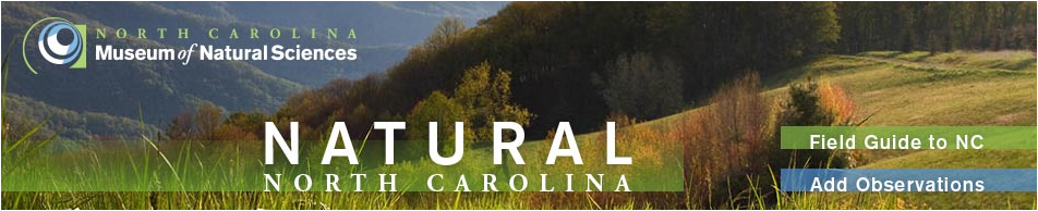 Natural North Carolina - tracking nature in NC