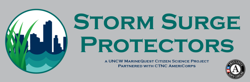 North Carolina - Storm Surge Protectors