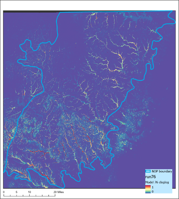 Model output from MaxEnt model in the Northern Outer Piedmont (NOP) ecoregion in North Carolina