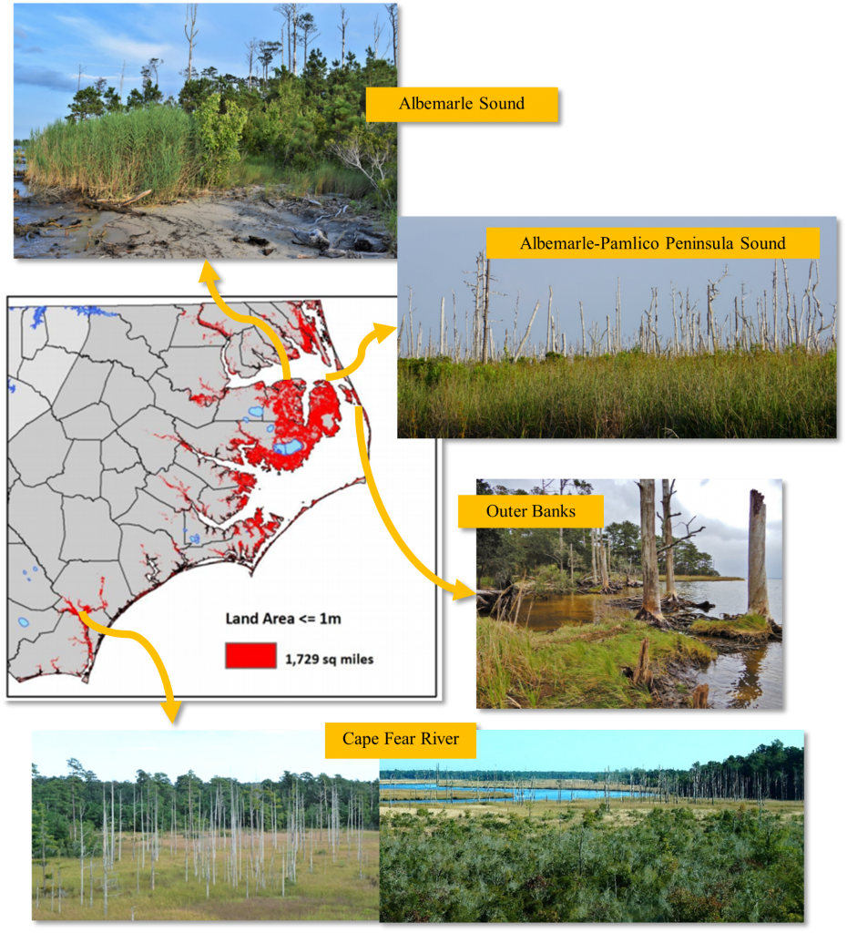 : North Carolina Wetlands