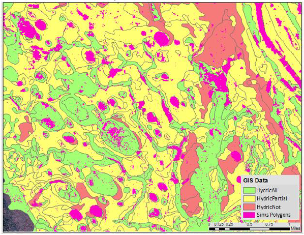 Hydric soils overlapping with elevation derived sink polygons