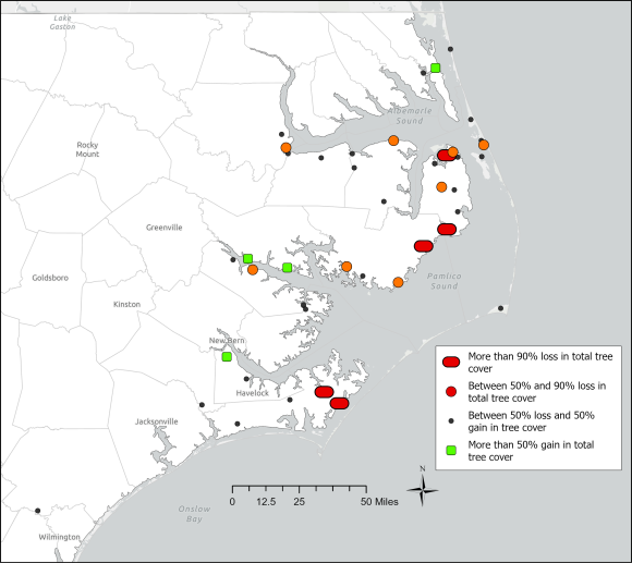 Some outer Coastal Plain wetlands lost much tree cover, while many remained stable.