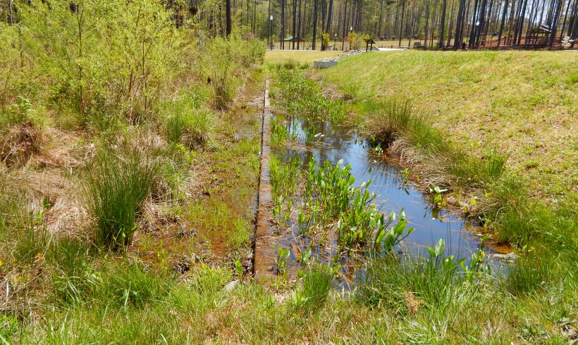 Using Natural Wetlands for Stormwater Assimilation