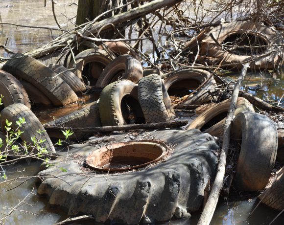 Trash pollutes water in wetlands.