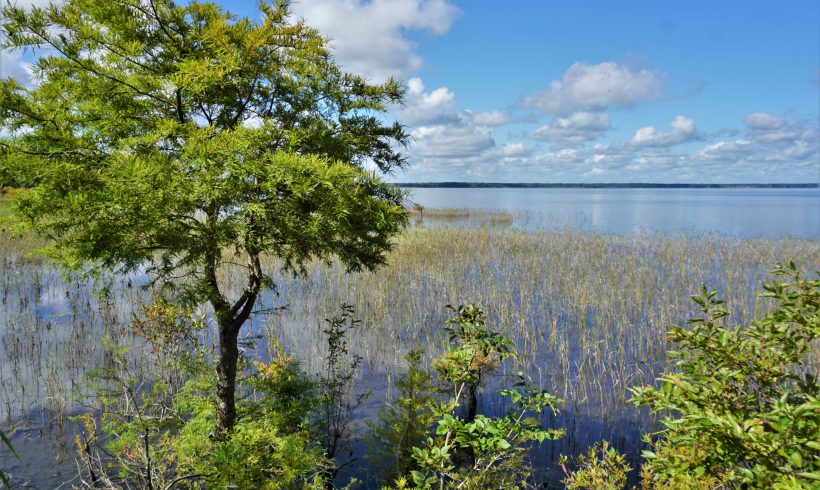 Unique Wetlands: Developing Policy Guidelines and Locating Unique Wetlands