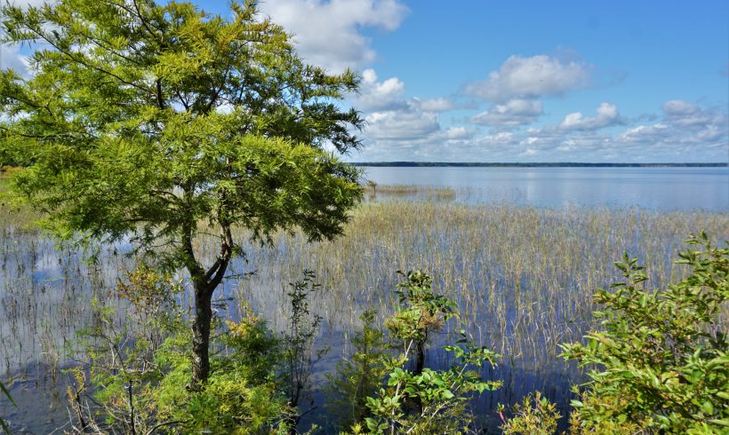 Unique Wetlands: Developing Policy Guidelines and Locating Unique Wetlands