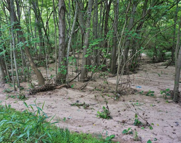 Too much sediment washing into a wetland can destroy habitat and reduce flood capacity.