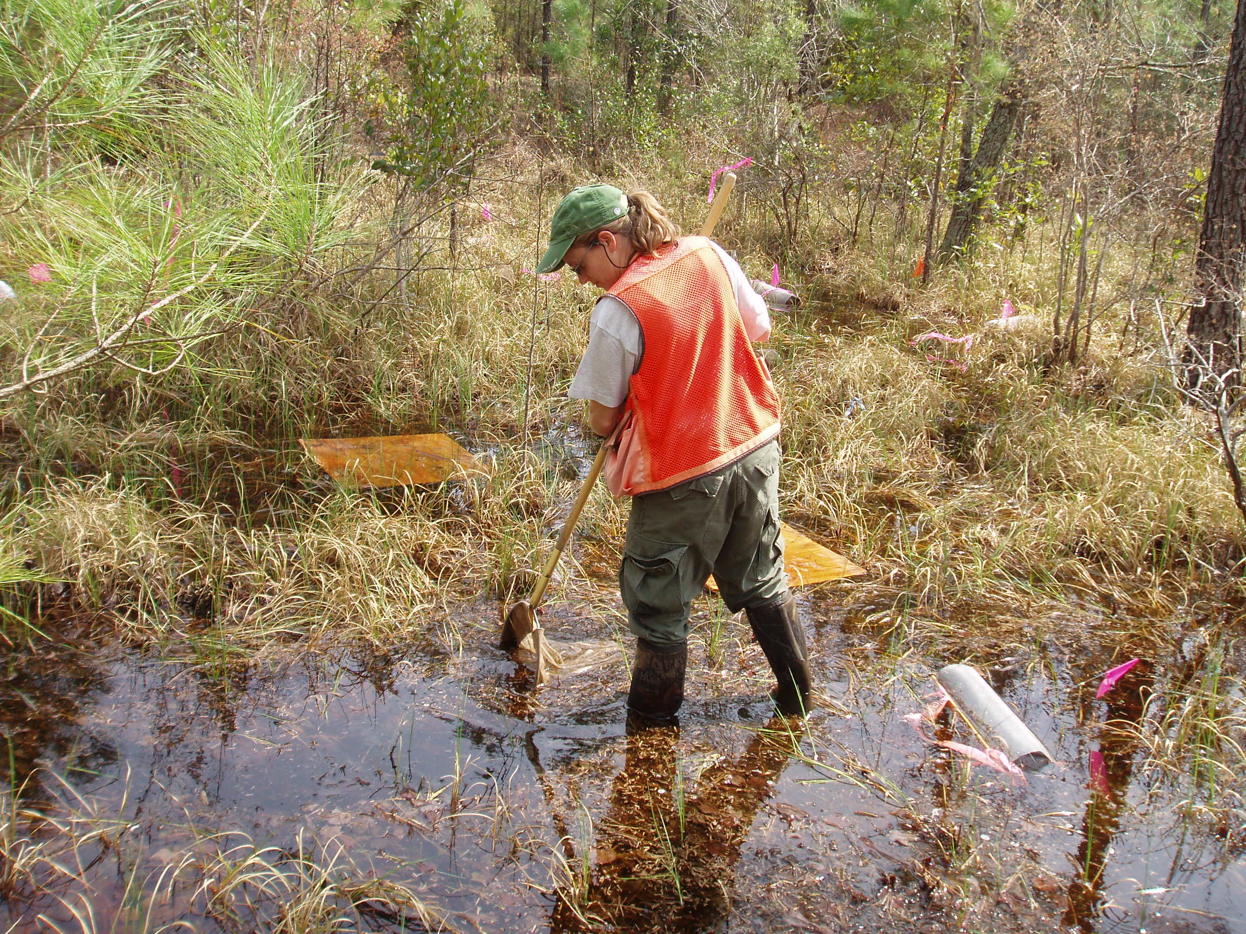 Dipnets were used to capture macroinvertebrates