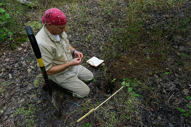 scientist studying soil