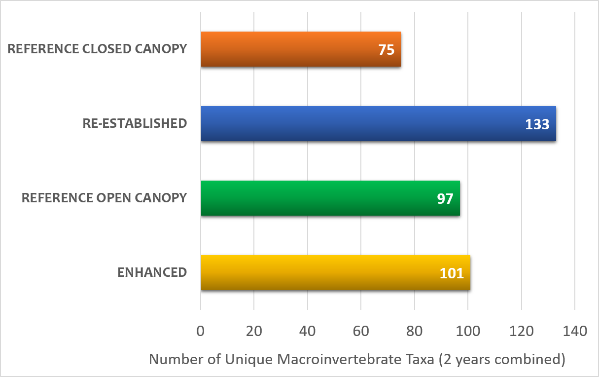 Re-established wetlands had the highest number of total unique macroinvertebrate taxa due to permanent water. Open canopy wetlands were also important for macroinvertebrates.