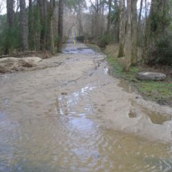 Urban wetlands trap sediment from overflowing streams and creeks