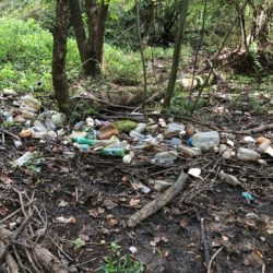 Urban wetlands keep trash from flowing out to the ocean